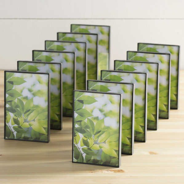 Picture Frames You'll Love Wayfair